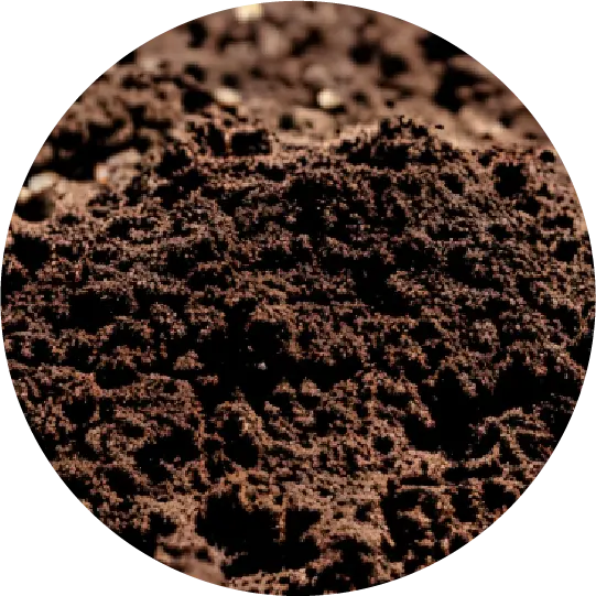 用土づくりの様子